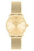 Aurea Mesh Watch