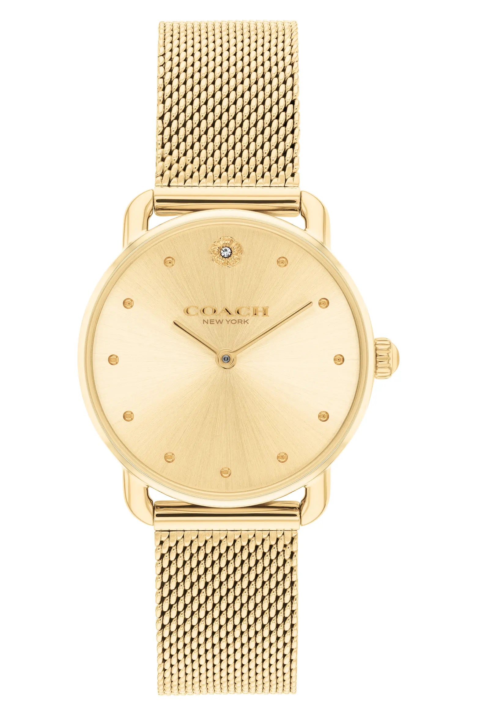 Aurea Mesh Watch